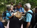2014-06-05 15-28-49 Foret de Fontainebleau DLe